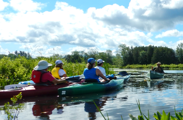 Eagle Point Wetland Paddle Announced